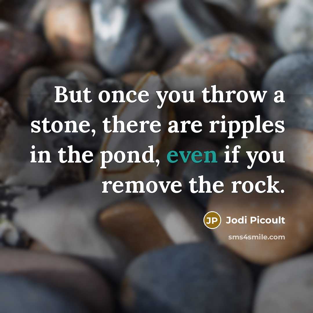 “But once you throw a stone, there are ripples in…” quote by Jodi Picoult
