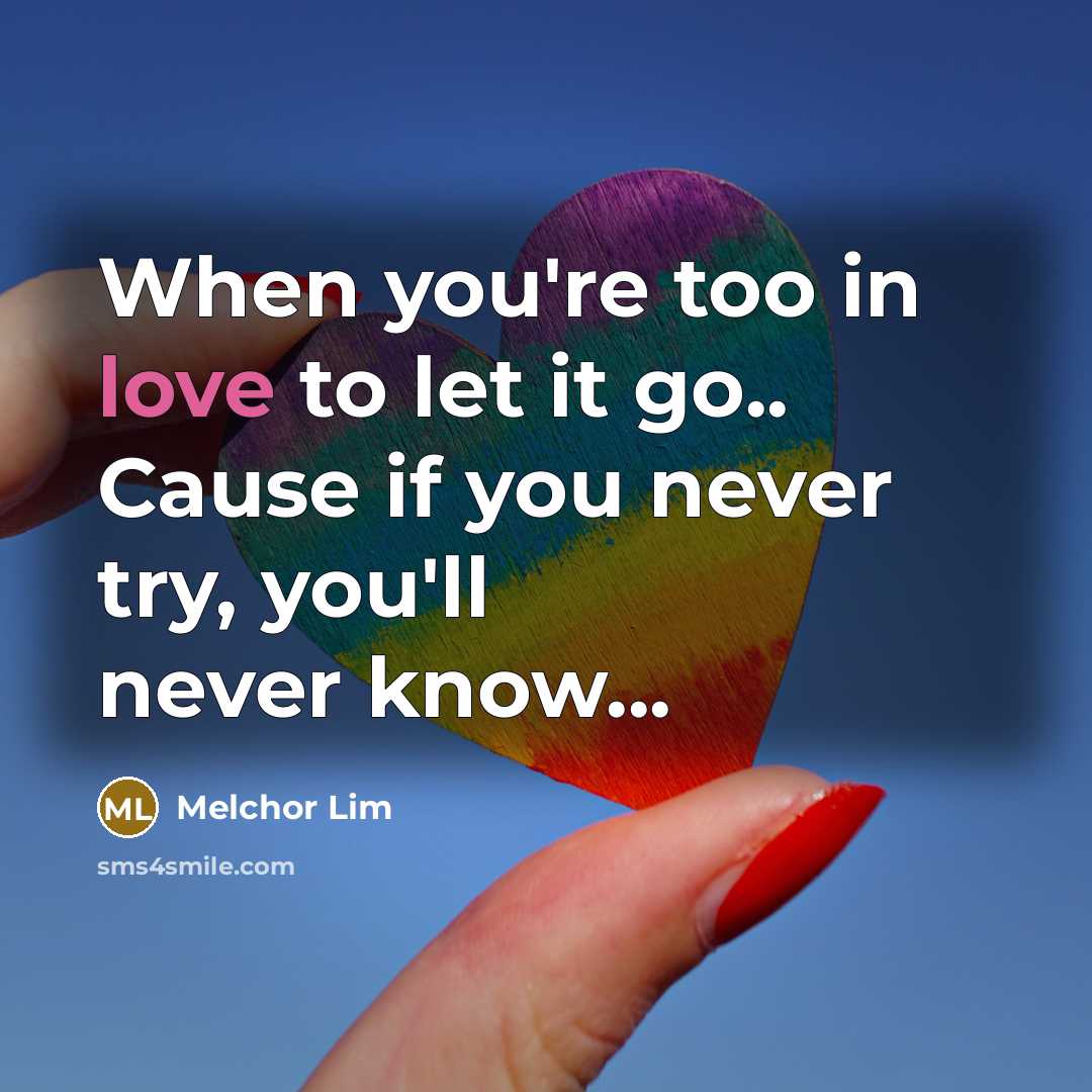“When you're too in love to let it go.. Cause…” quote by Melchor Lim
