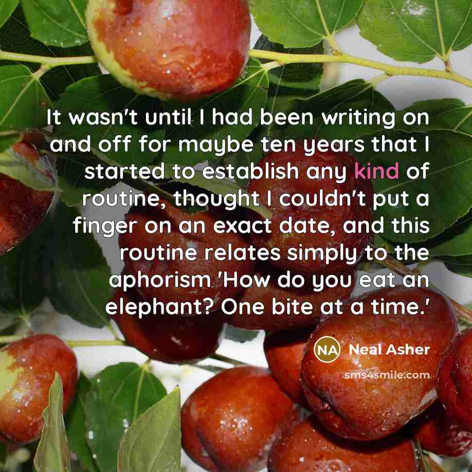 “It wasn't until I had been writing on and off…” quote by Neal Asher