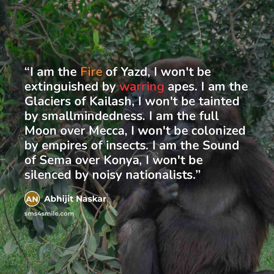 “I am the Fire of Yazd, I won't be extinguished by warring apes. I am the Glaciers of Kailash, I won't be tainted by smallmindedness. I am the full Moon over Mecca, I won't be colonized by empires of insects. I am the Sound of Sema over Konya, I won't be silenced by noisy nationalists.” quote by Abhijit Naskar