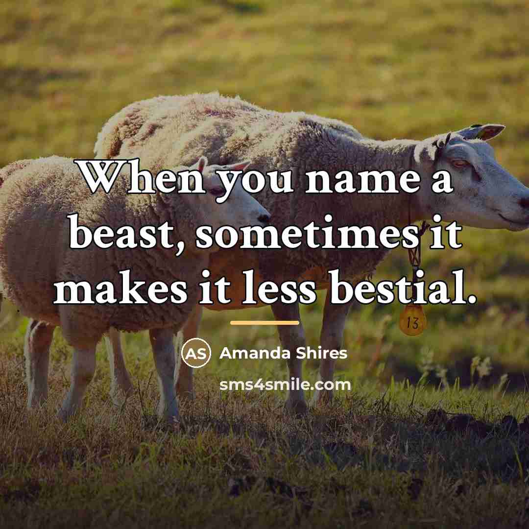 “When you name a beast, sometimes it makes it less…” quote by Amanda Shires