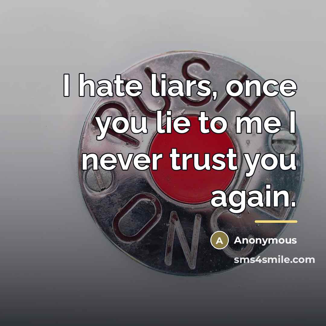 “I hate liars, once you lie to me I never…” quote by Anonymous