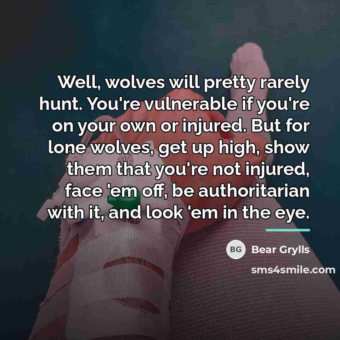 “Well, wolves will pretty rarely hunt. You're vulnerable if you're…” quote by Bear Grylls
