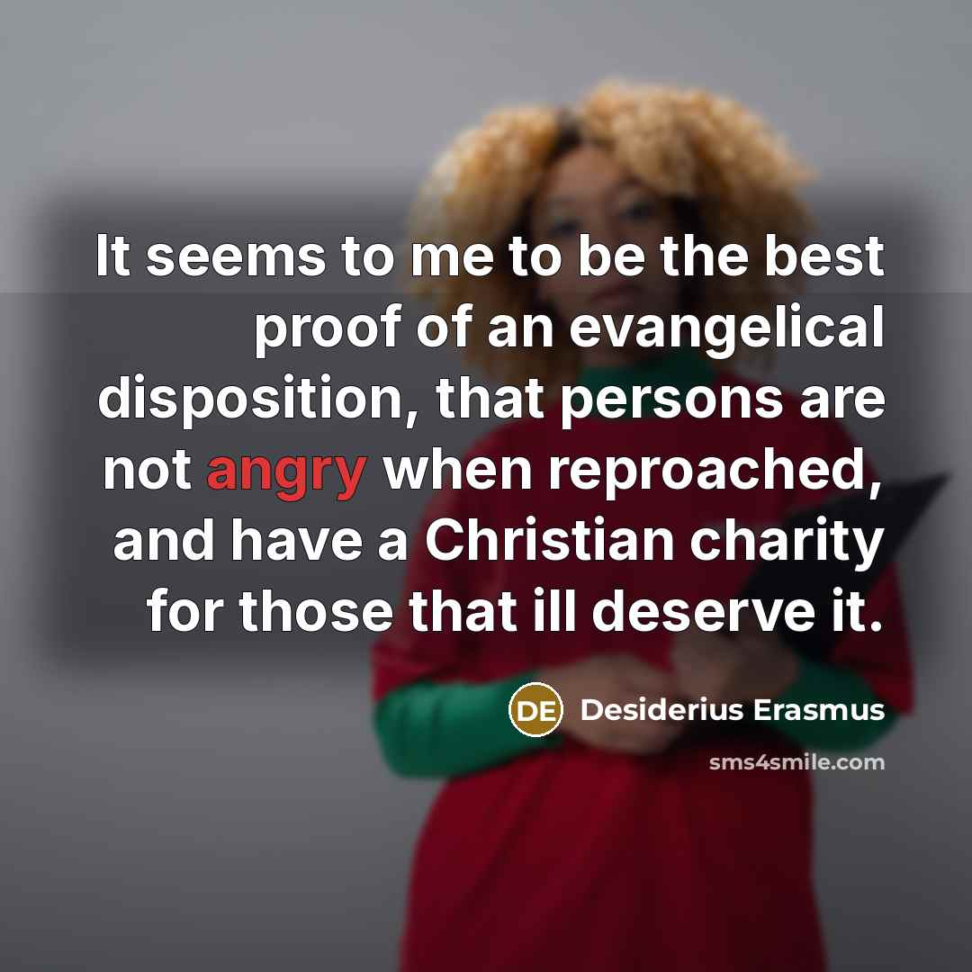 “It seems to me to be the best proof of…” quote by Desiderius Erasmus
