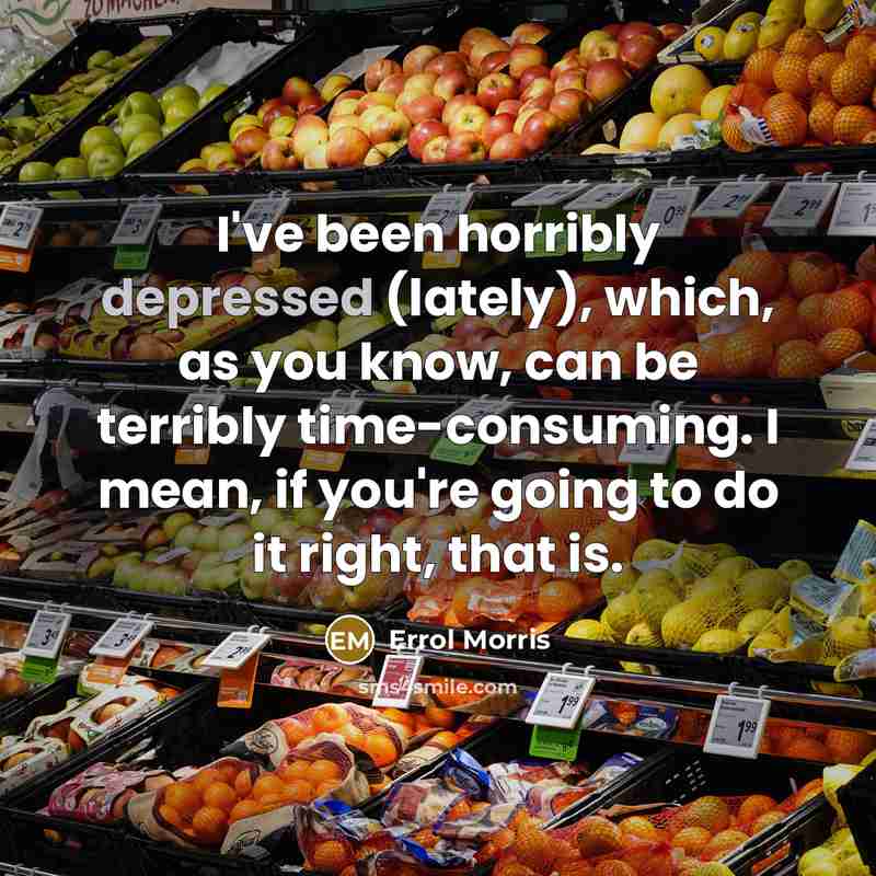 “I've been horribly depressed (lately), which, as you know, can…” quote by Errol Morris