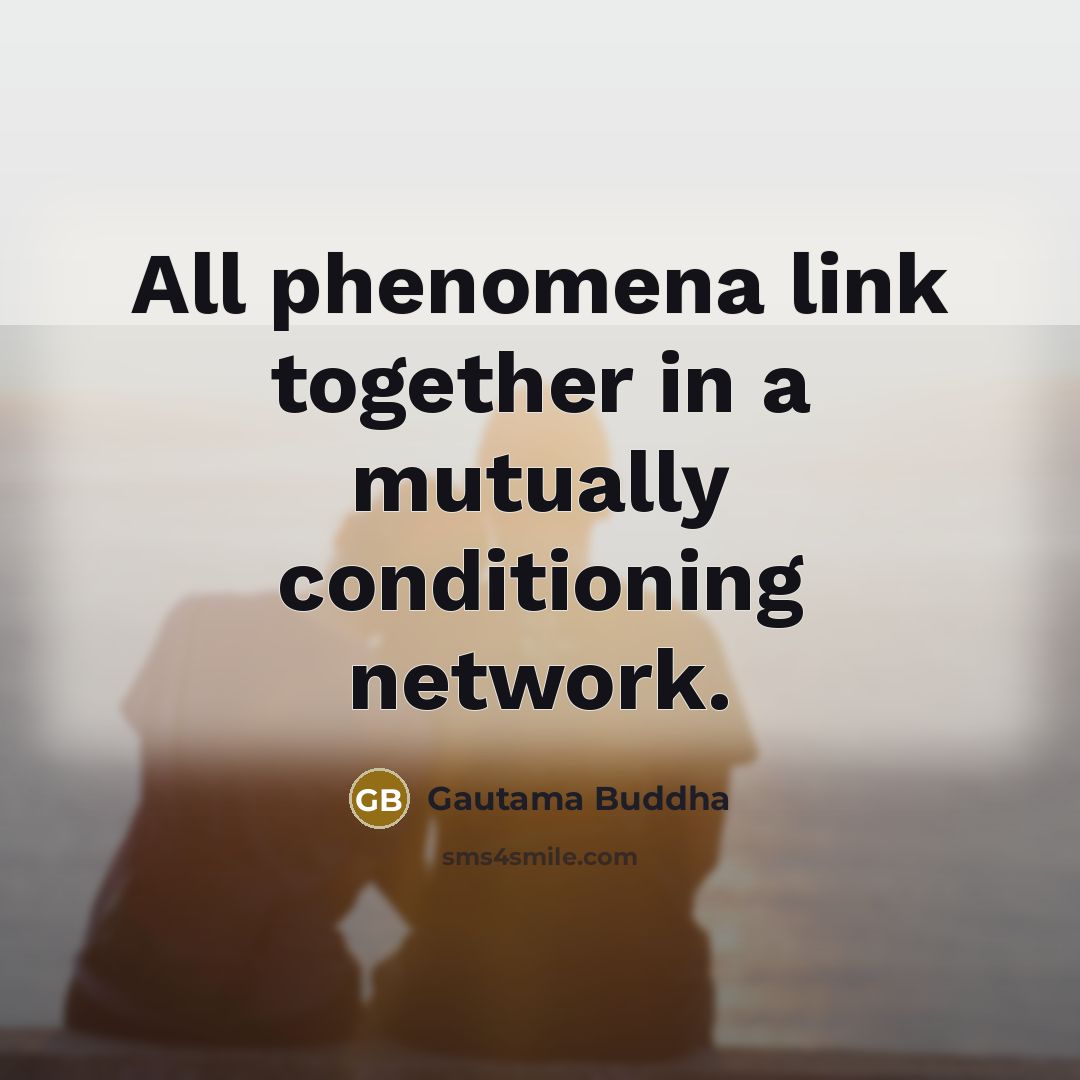 “All phenomena link together in a mutually conditioning network.…” quote by Gautama Buddha