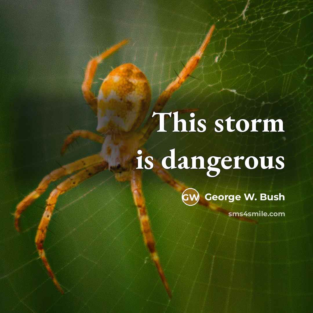 “This storm is dangerous…” quote by George W. Bush