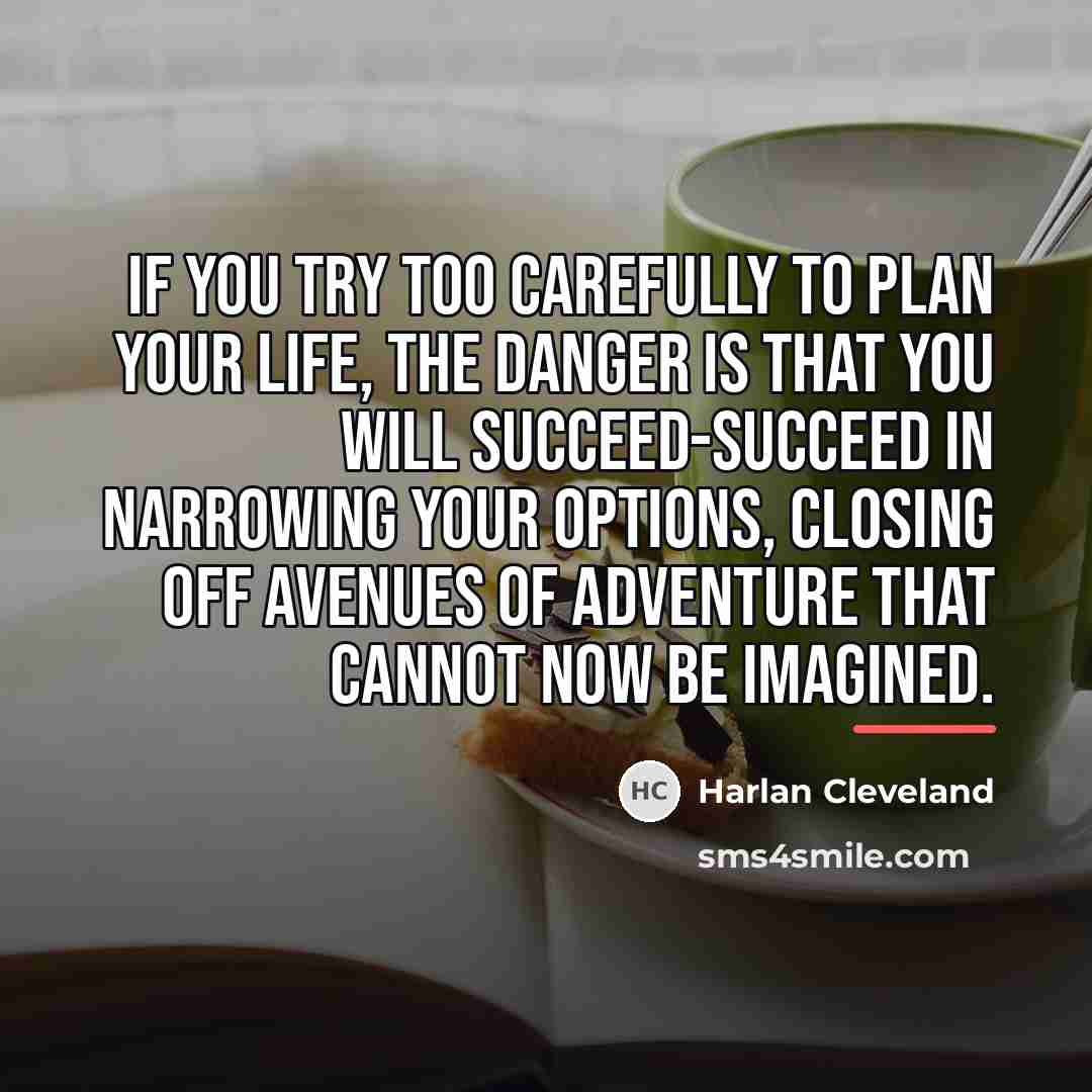 “If you try too carefully to plan your life, the…” quote by Harlan Cleveland