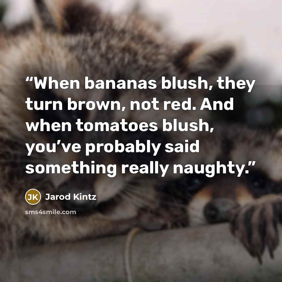 “When bananas blush, they turn brown, not red. And when tomatoes blush, you’ve probably said something really naughty.” quote by Jarod Kintz