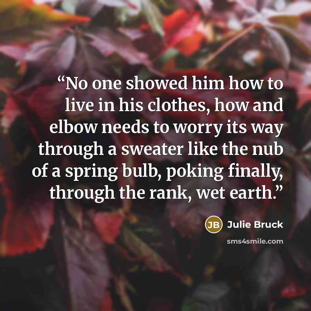 “No one showed him how to live in his clothes, how and elbow needs to worry its way through a sweater like the nub of a spring bulb, poking finally, through the rank, wet earth.” quote by Julie Bruck
