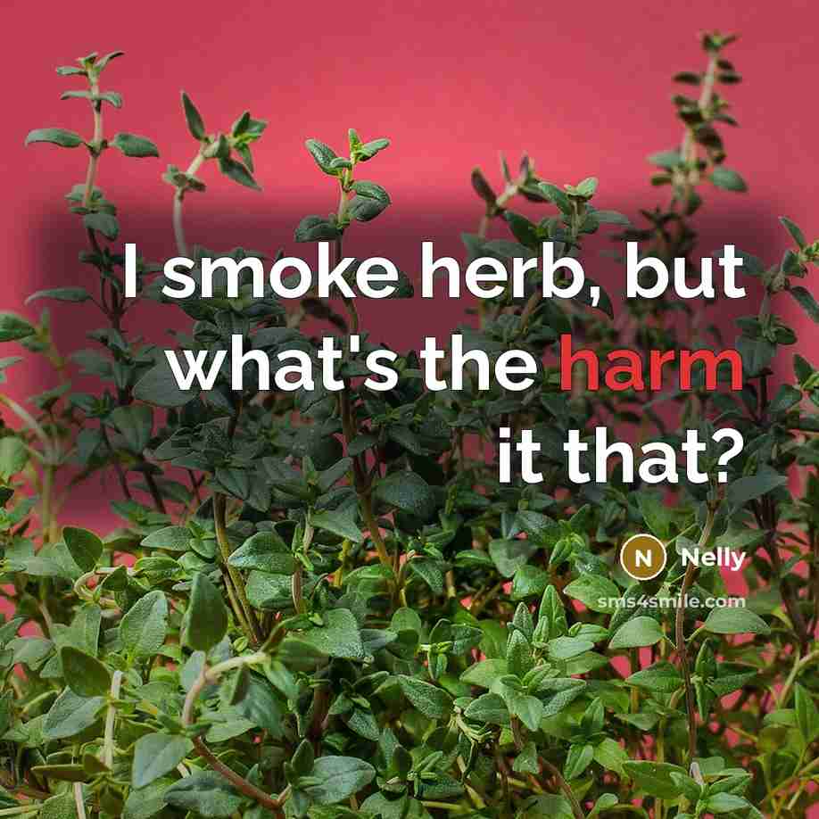 “I smoke herb, but what's the harm it that?…” quote by Nelly