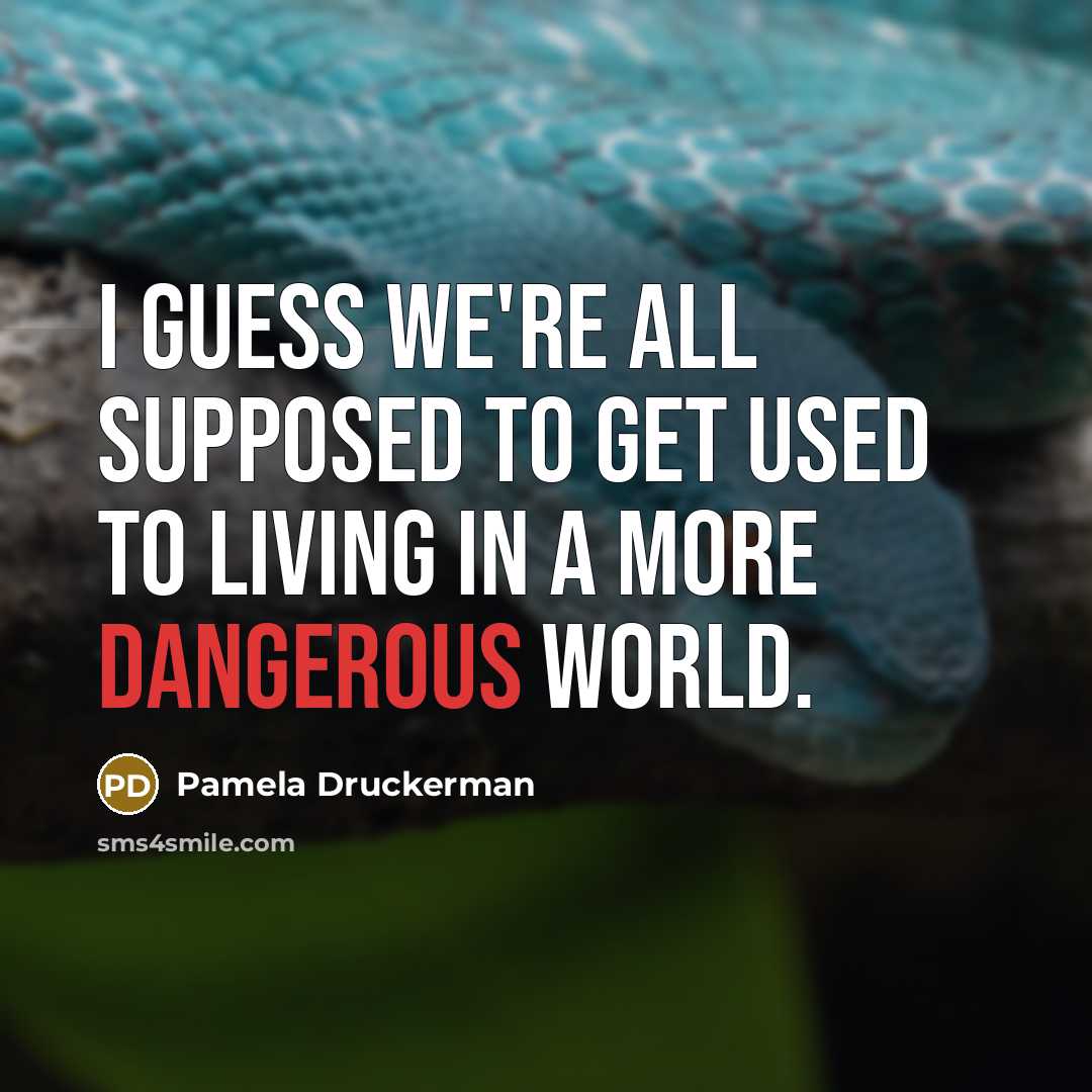 “I guess we're all supposed to get used to living…” quote by Pamela Druckerman