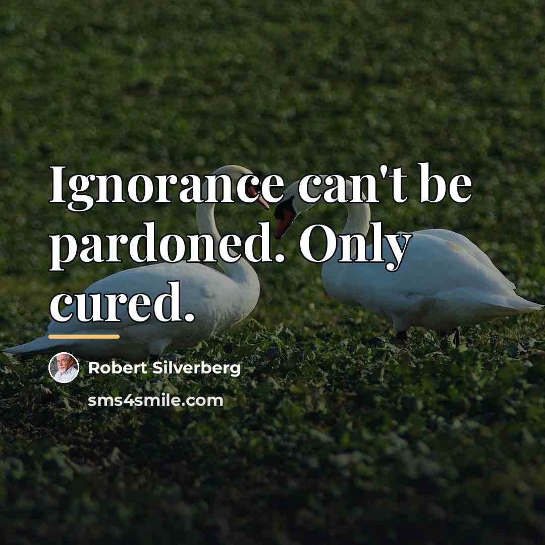 “Ignorance can't be pardoned. Only cured.…” quote by Robert Silverberg