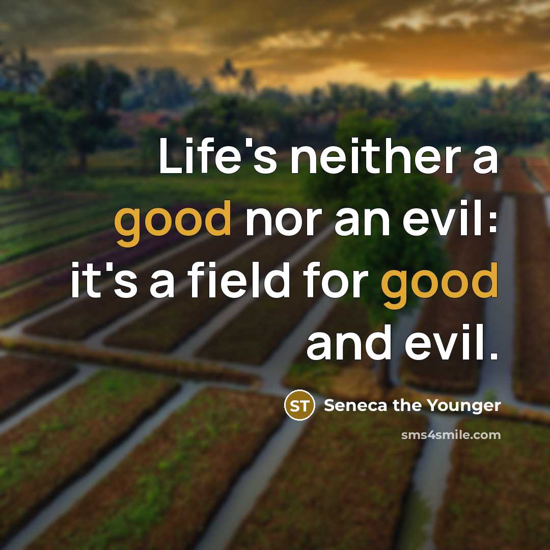 “Life's neither a good nor an evil: it's a field…” quote by Seneca the Younger