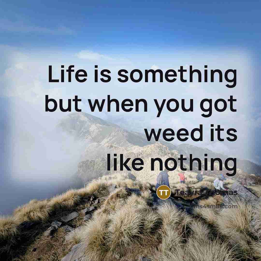 “Life is something but when you got weed its like nothing” quote by Teayra Thomas