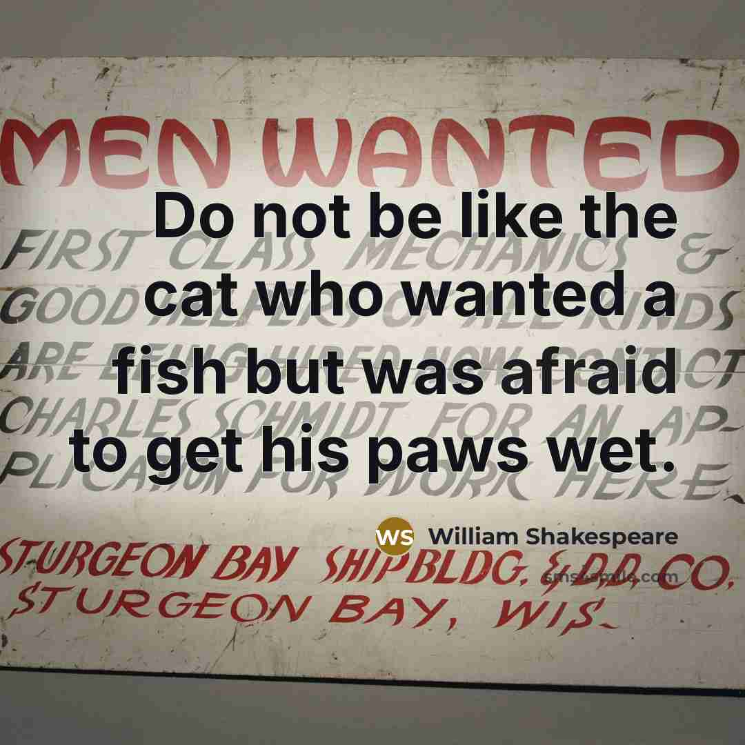 “Do not be like the cat who wanted a fish but was afraid to get his paws wet.” quote by William Shakespeare