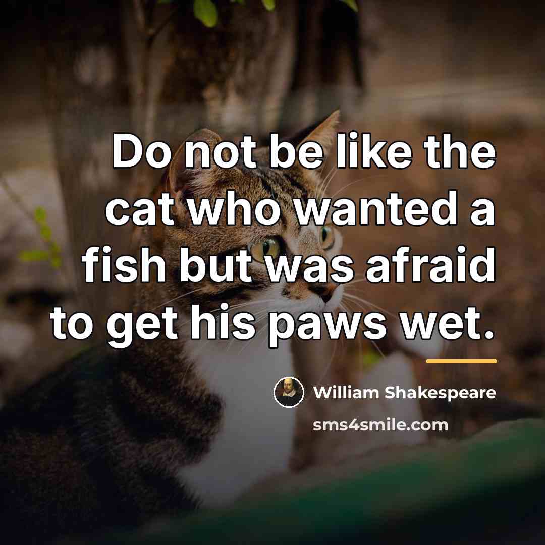 “Do not be like the cat who wanted a fish…” quote by William Shakespeare