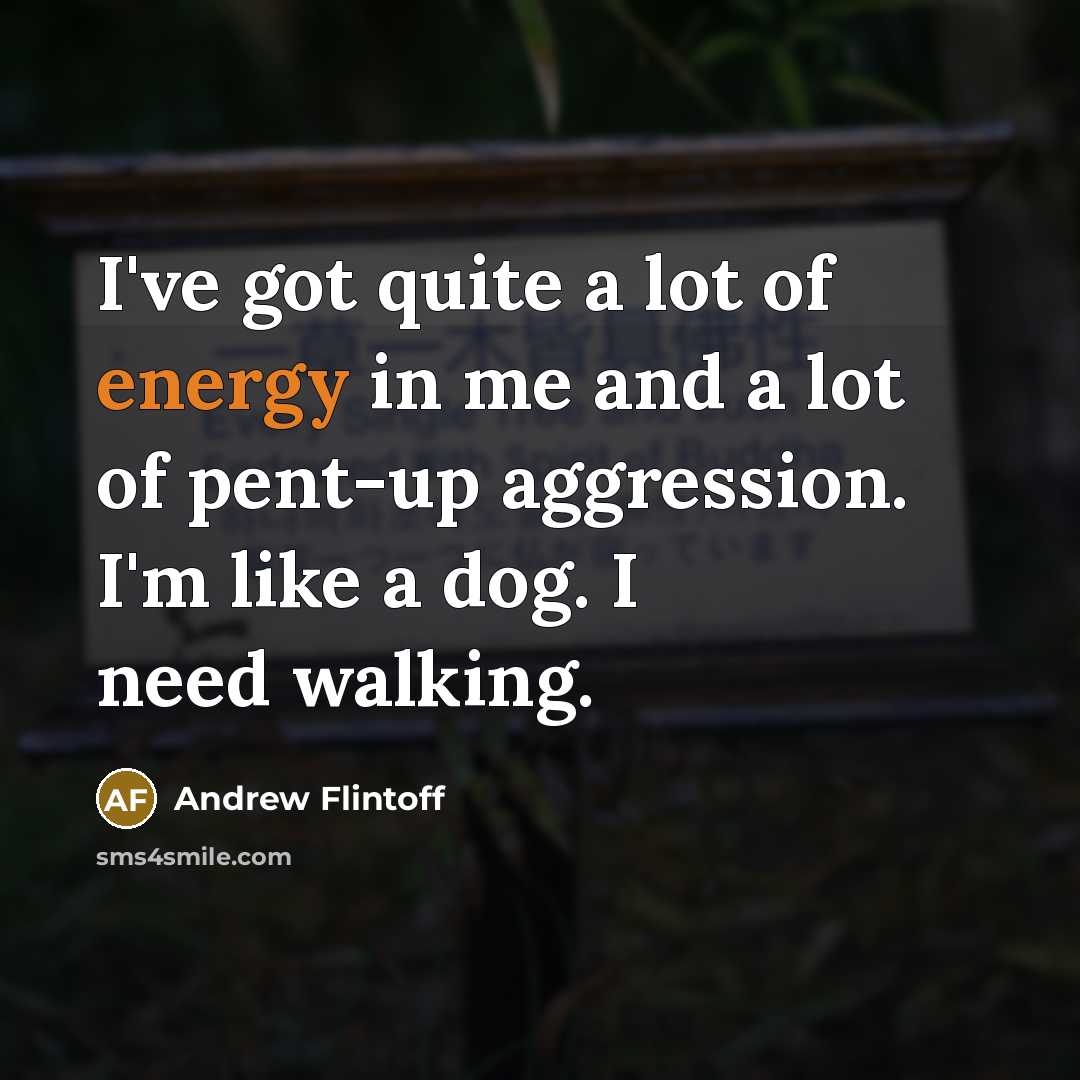 “I've got quite a lot of energy in me and…” quote by Andrew Flintoff