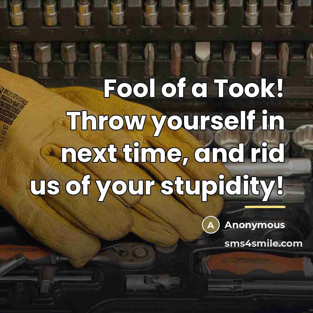 “Fool of a Took! Throw yourself in next time, and…” quote by Anonymous