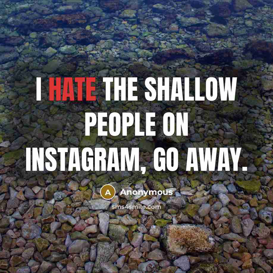 “I hate the shallow people on Instagram, go away.” quote by Anonymous