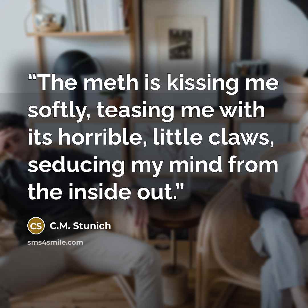 “The meth is kissing me softly, teasing me with its horrible, little claws, seducing my mind from the inside out.” quote by C.M. Stunich