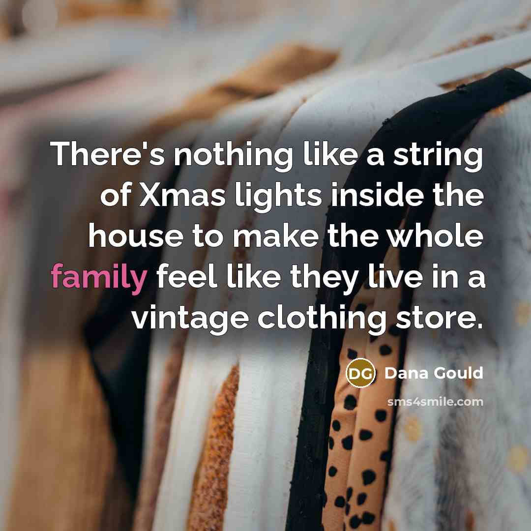 “There's nothing like a string of Xmas lights inside the…” quote by Dana Gould