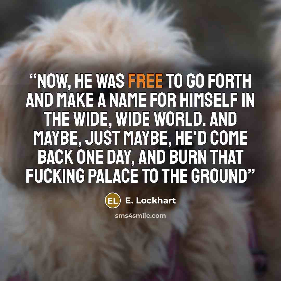 “Now, he was free to go forth and make a name for himself in the wide, wide world. And maybe, just maybe, he'd come back one day, and burn that fucking palace to the ground” quote by E. Lockhart