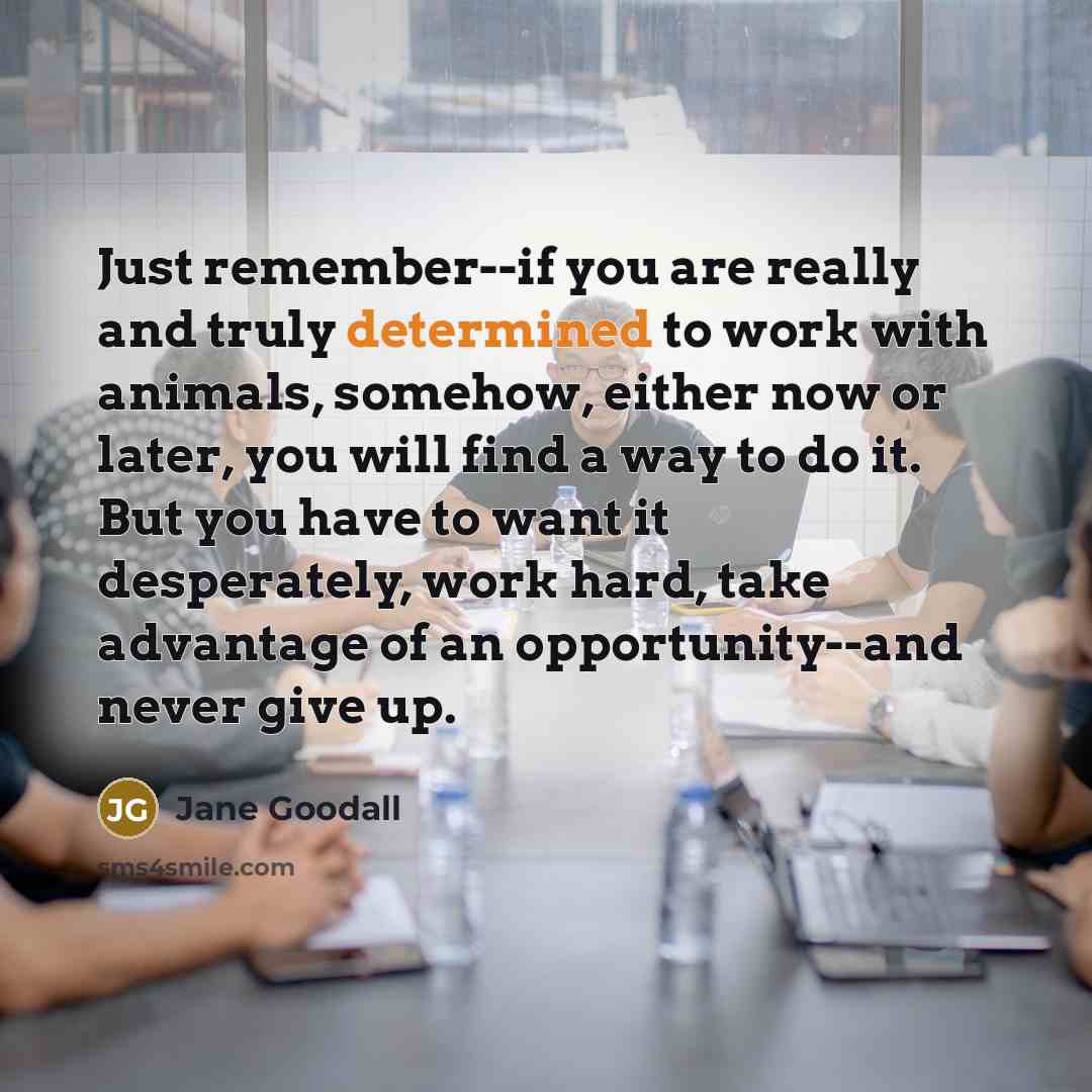 “Just remember--if you are really and truly determined to work…” quote by Jane Goodall
