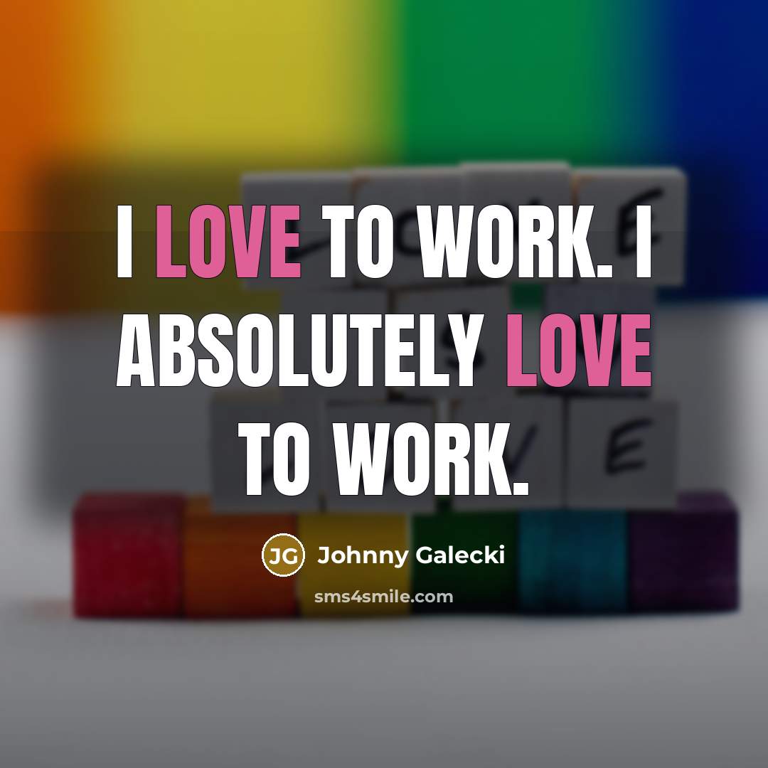 “I love to work. I absolutely love to work.…” quote by Johnny Galecki