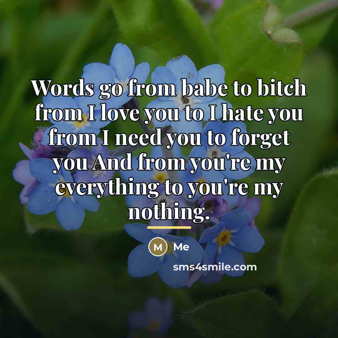 “Words go from babe to bitch from I love you…” quote by Me