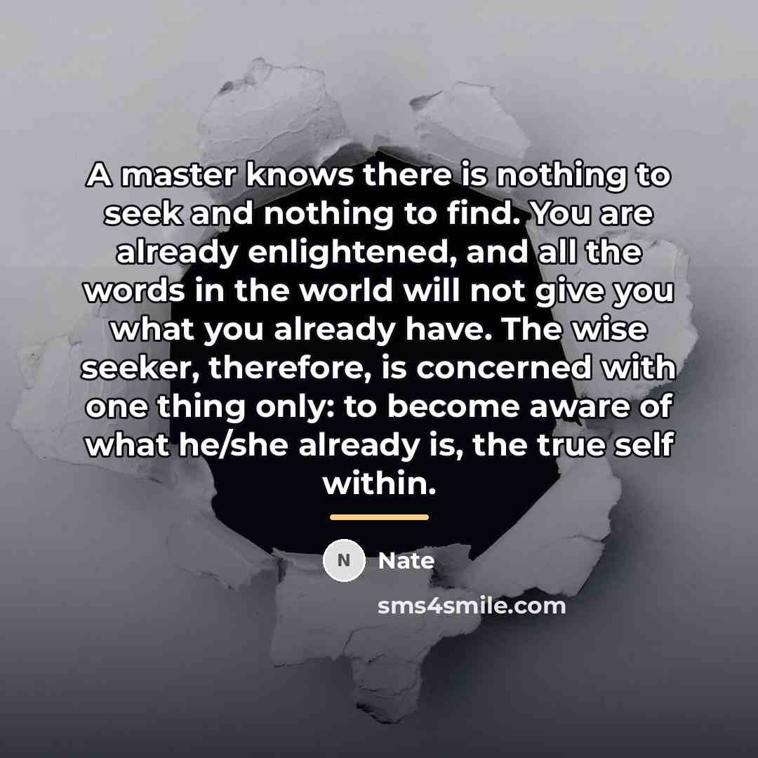 “A master knows there is nothing to seek and nothing…” quote by Nate