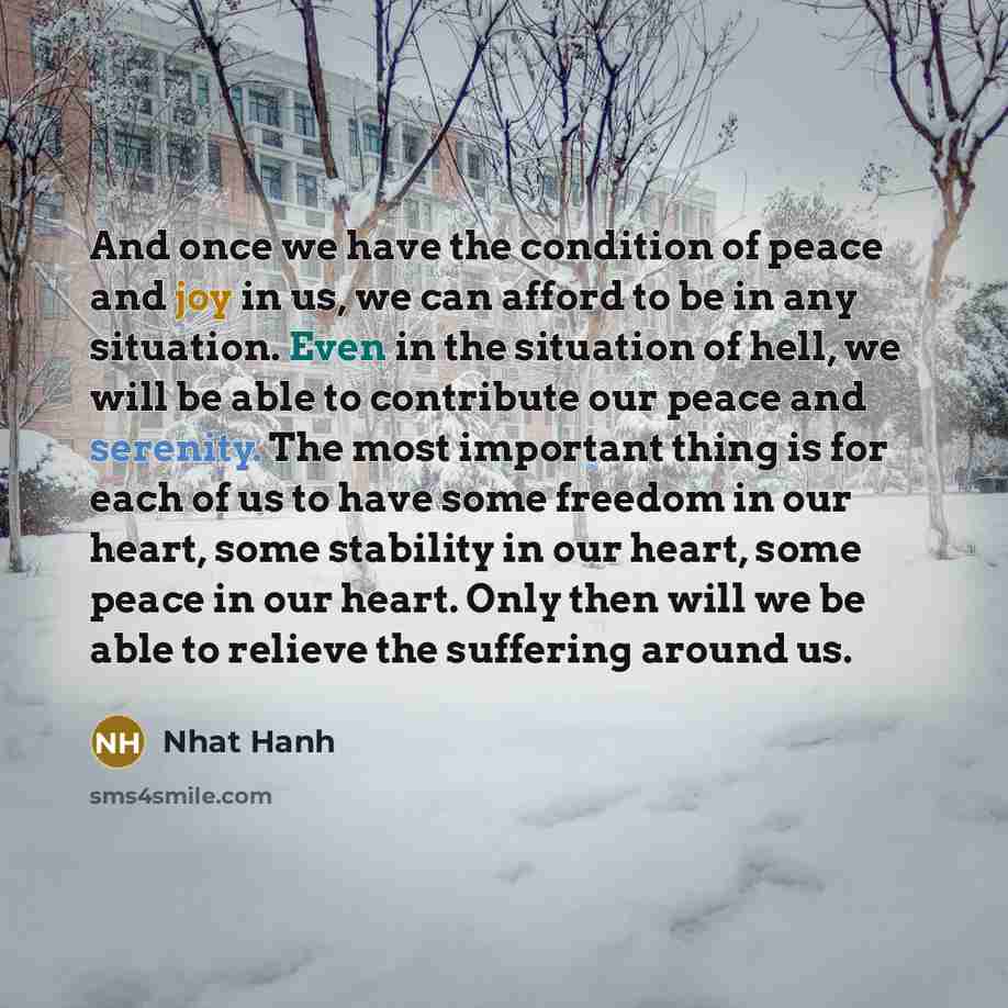 “And once we have the condition of peace and joy…” quote by Nhat Hanh