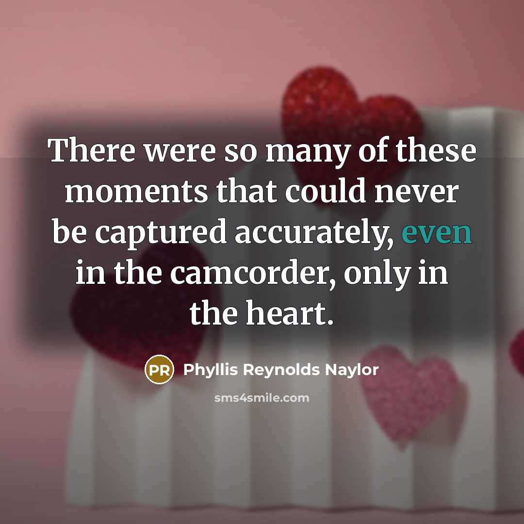 “There were so many of these moments that could never…” quote by Phyllis Reynolds Naylor