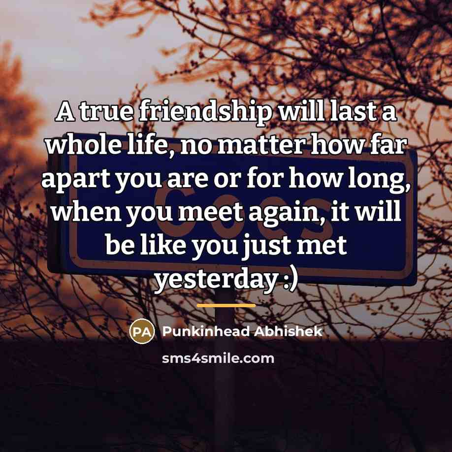 “A true friendship will last a whole life, no matter…” quote by Punkinhead Abhishek