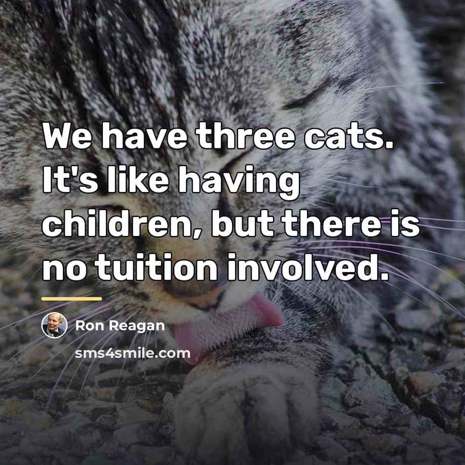 “We have three cats. It's like having children, but there…” quote by Ron Reagan