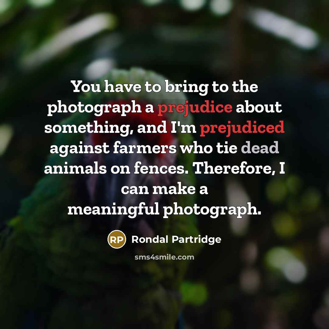 “You have to bring to the photograph a prejudice about…” quote by Rondal Partridge