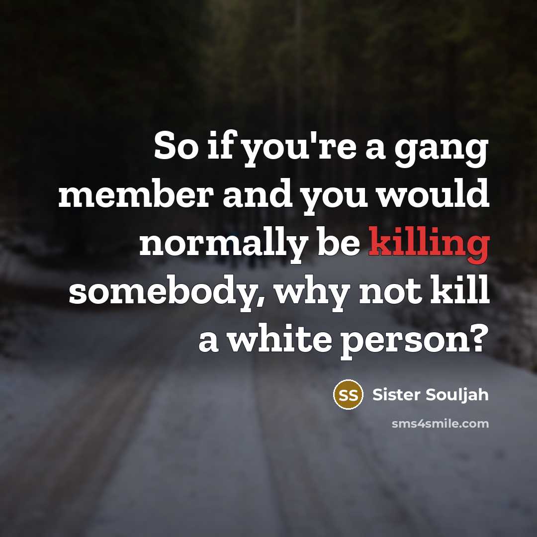 “So if you're a gang member and you would normally…” quote by Sister Souljah