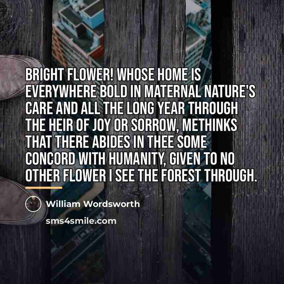 “Bright flower! whose home is everywhere Bold in maternal nature's…” quote by William Wordsworth