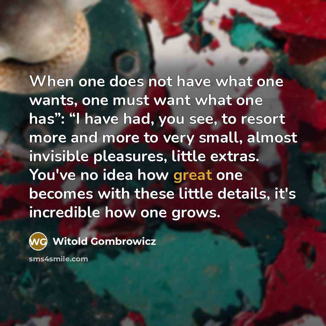 “When one does not have what one wants, one must…” quote by Witold Gombrowicz