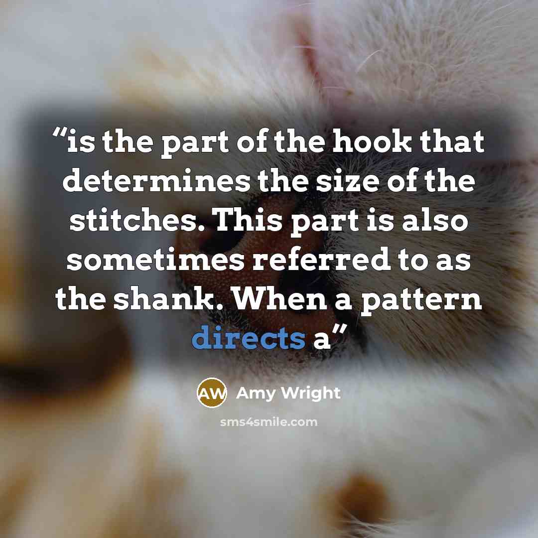 “is the part of the hook that determines the size of the stitches. This part is also sometimes referred to as the shank. When a pattern directs a” quote by Amy Wright