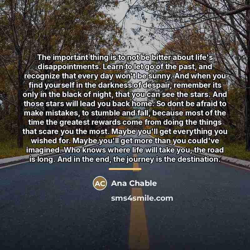 “The important thing is to not be bitter about life's…” quote by Ana Chable