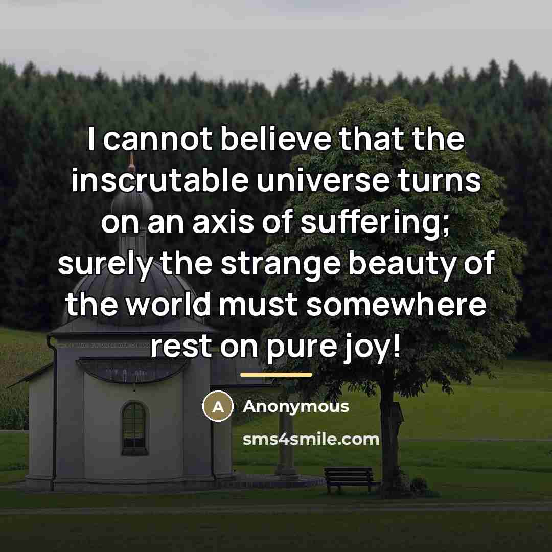 “I cannot believe that the inscrutable universe turns on an…” quote by Anonymous