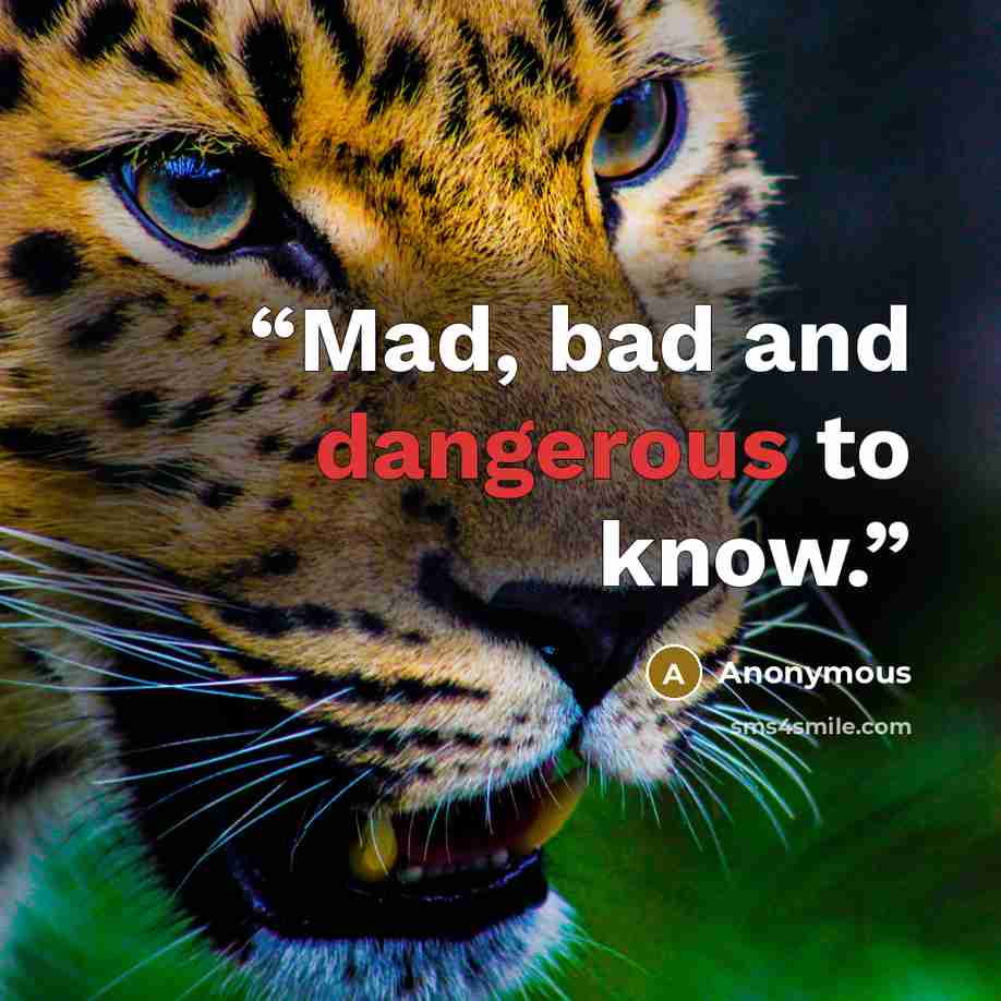 “Mad, bad and dangerous to know.” quote by Anonymous