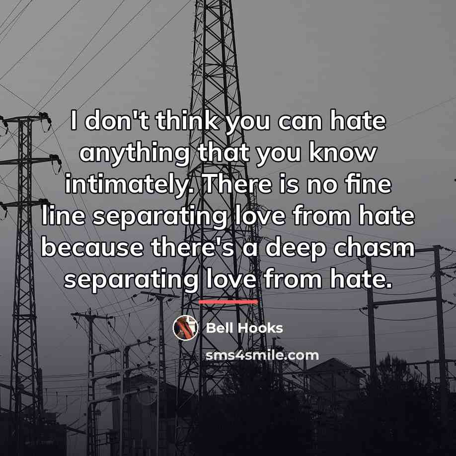 “I don't think you can hate anything that you know…” quote by bell hooks