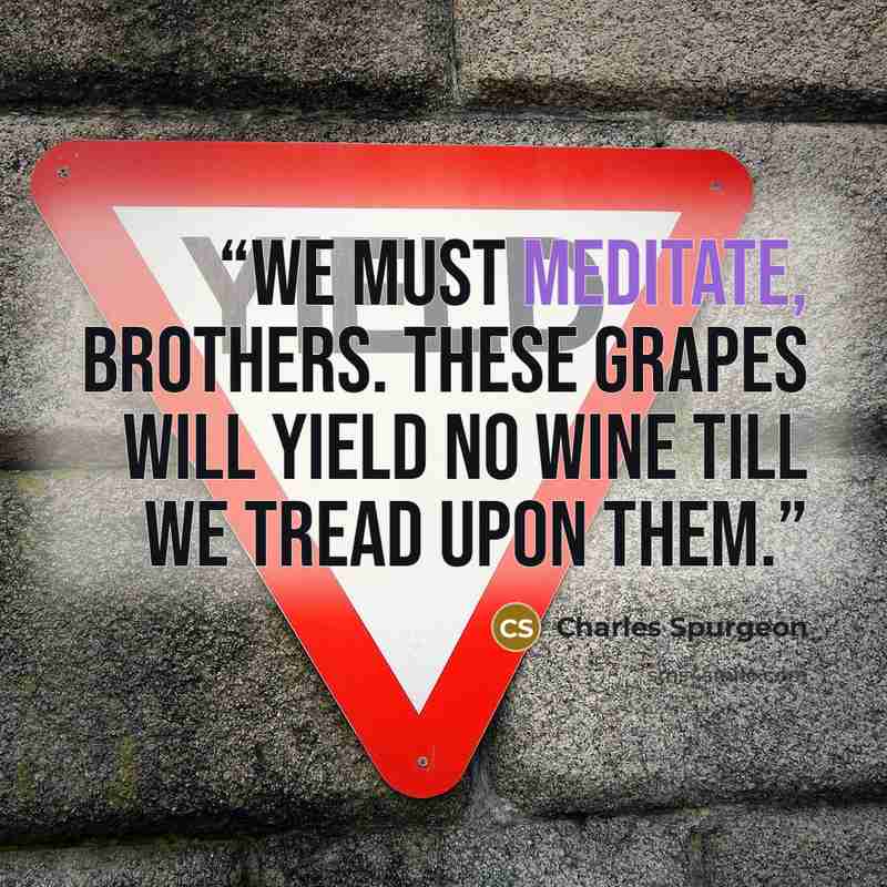 “We must meditate, brothers. These grapes will yield no wine till we tread upon them.” quote by Charles Spurgeon