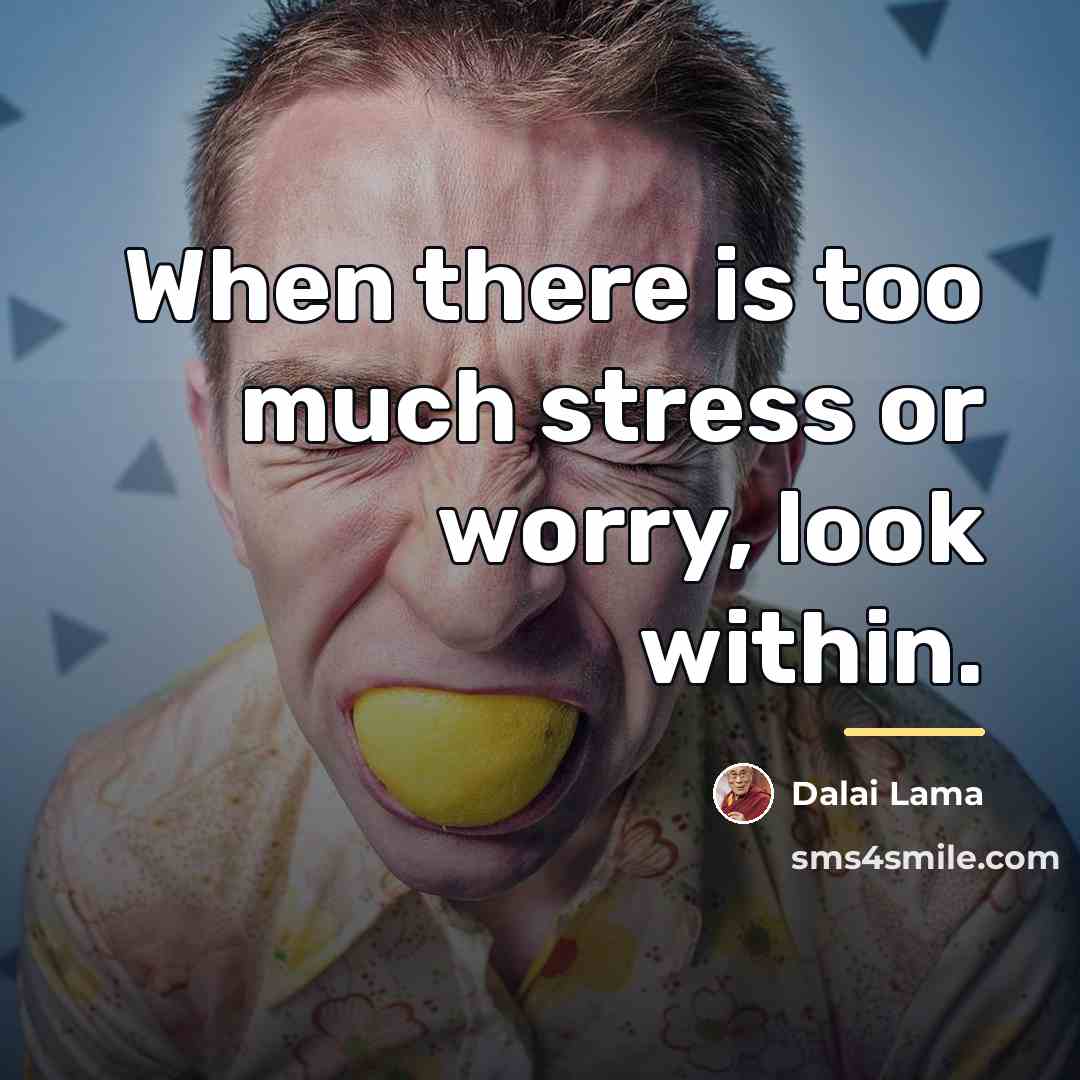 “When there is too much stress or worry, look within.…” quote by Dalai Lama