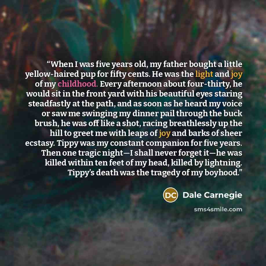 “When I was five years old, my father bought a little yellow-haired pup for fifty cents. He was the light and joy of my childhood. Every afternoon about four-thirty, he would sit in the front yard with his beautiful eyes staring steadfastly at the path, and as soon as he heard my voice or saw me…” quote by Dale Carnegie
