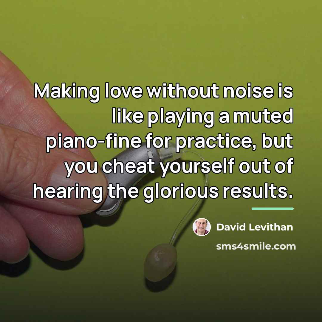 “Making love without noise is like playing a muted piano-fine…” quote by David Levithan