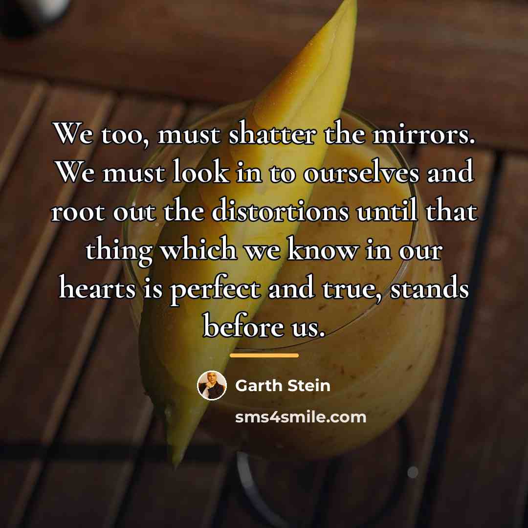 “We too, must shatter the mirrors. We must look in…” quote by Garth Stein