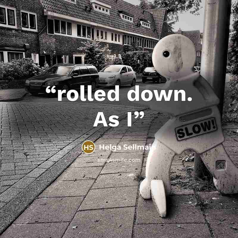 “rolled down. As I” quote by Helga Sellmain